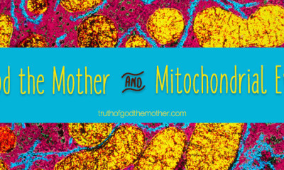 god the mother and the mitochondrial eve